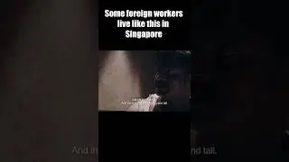 You will be shocked at how some of these foreign workers live in Singapore #shorts