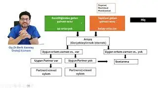 Libidonuz (cinsel dürtü, istek) Hangisi?