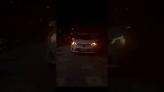 Erkekler Canı Sıkılınca Ne mi Yapr