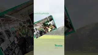 Dünya Çevre Günü