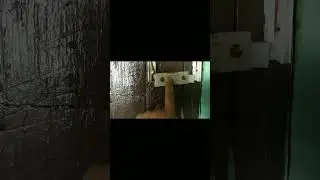 Single Phase Wiring, kum karch main simple wiring #housewiring #electricalwork #shorts
