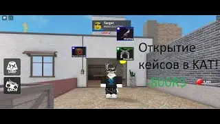 Открытие кейсов в KAT Roblox ( -800R$ )