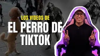 EL EXTRAÑO CASO DEL PERRO DE TIKTOK