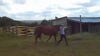 Рута. Галоп в руках
