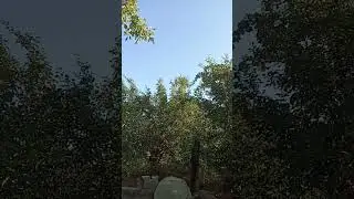 С новым добрым днем 27#августа