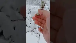 😨А какая погода у вас
