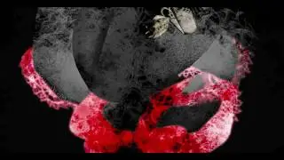 Let's Play The Path: Rose's Wolf