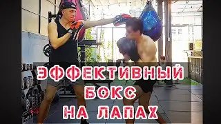 🔥Эффективный Бокс на Лапах. Рабочие Комбинации #тренировка #бокс #нячанг #вьетнам #спорт #мма #mma