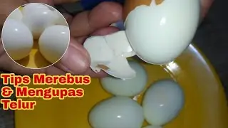 Tips Merebus dan Mengupas Telur Biar Tidak Lecet Cocok Untuk Usaha Catering