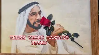 DUBAI MALL ,3 YEARS LASTING ROSES