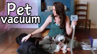 Dog Hair Vacuum: I TESTED it on My 3 Dogs
