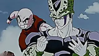 Krillin vs Cell