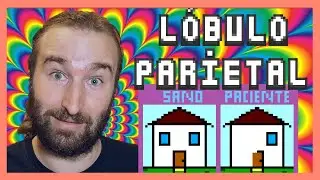 El LÓBULO PARIETAL | 🧠El Atlas del Cerebro