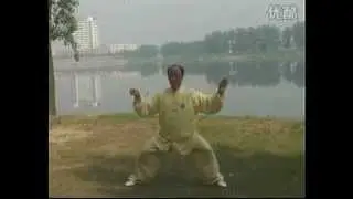 Chen Taijiquan. Master Qiao Nuo Shan (乔诺山)