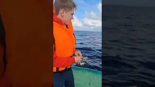 Рыбалка всей семьей #анири #рыбалка #семья #ловимрыбу