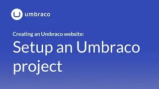 Creating an Umbraco 8 website: Setup an Umbraco project