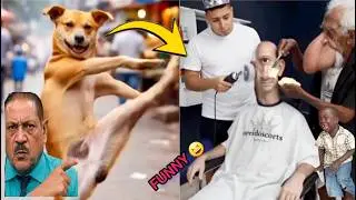 Try Not To Laugh Challenge 🤣 🤣 LEVEL 67 | Instant Regret Fails Compilation 2026