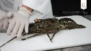 ¿Cómo cortar y cocinar una langosta? 🦞 Tutorial sencillo para principiantes