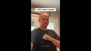 Fly Issues