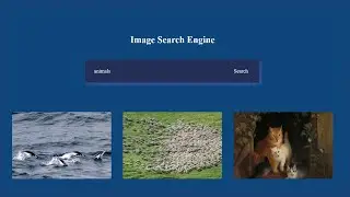 Building an Image Search Engine with HTML, CSS, and JavaScript | Code with Fatima