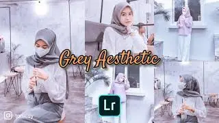 Gray Aesthetic preset, free download lightroom presets dng 2021, how to edit photo using lightroom
