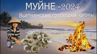 Деликатес не отходя от пляжа. Муйне. Фантьет. Вьетнам.