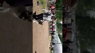 Национальная выставка собак всех пород  ДОГ ЭКСПО, СПб,  22.05.21. Эксперт Анатолий Жук.