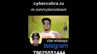Кибер кобра как Стать настоящим вебмастером   научись сливать трафик на партнерки