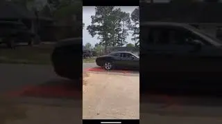 Burnout Gender Reveal!