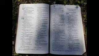 Let's Read the Psalms Again! Psalm 118- His Chesed Endures Forever (TLV)