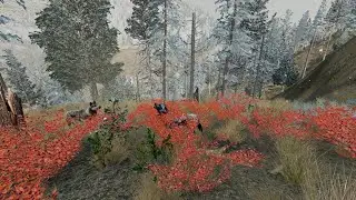 Bears, Injuries And Tragedies! | Magpie Pack | Ep 9 | Season 2 | WolfQuest Anniversary Edition