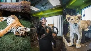 Petting Exotic Animals in Ensenada, Mexico