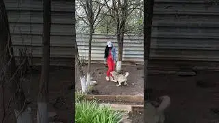 Salema Haski