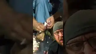 Sal Monella’s Stew