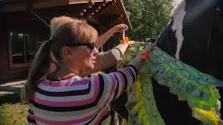 ECO TeamBuilding 2017  2
