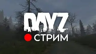✅STREAM✅DayZ✅