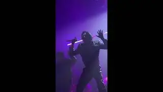 Dream reborn tour