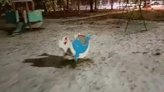 Детская площадка в Северодвинске.