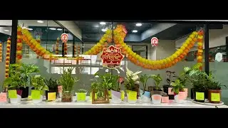 Environment Celebration At Office | NSIQ INFOTECH