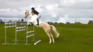 Extrem horse training so power and stranger - beautiful horse training and free riding