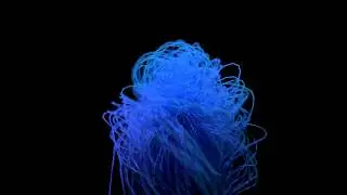 Cycles Test 18 - Dynamic Hair (Blender 2.6)