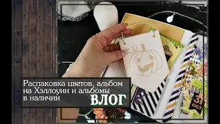 Unboxing Flowers, Halloween Album, and Photo Albums/VLOG/Scrapbooking