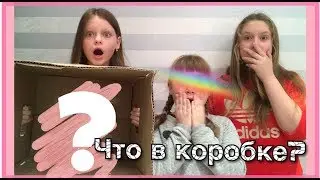 КАЖЕТСЯ НАЩУПАЛ 2.0||Что в коробке?
