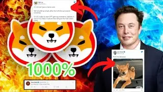 FLOKI INU COIN NEWS TODAY : Floki Inu Seems Set To Continue Skyrocket, and Not Just Because of Musk