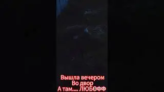 Это что они делают ?🤔 