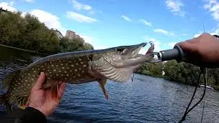 ЩУКА ЕСТЬ!!!👍Она не может не есть!!! ГЛАВНОЕ ТЕРПЕНИЕ ☝