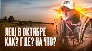 Рыбалка на фидер осенью. Ловля леща в октябре на фидер. Важные тонкости, о которых нужно помнить!