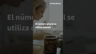 El Número Gramatical en Español: Todo lo que Necesitas Saber