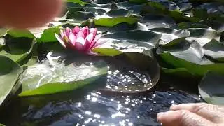 Кремінна... Релакс...