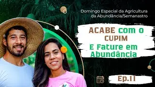 ACABE com CUPIM e FATURAR em ABUNDÂNCIA-Semanstro Domingo Especial da Agricultura da Abundância-Ep11